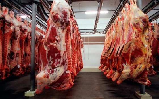 Carnes