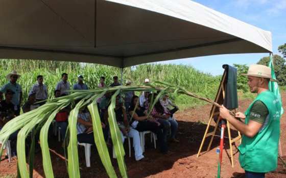 Dia de Campo