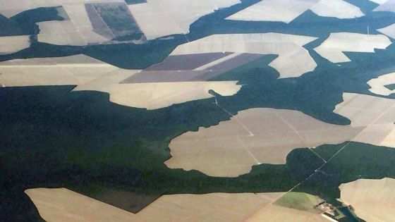 Agropecuária