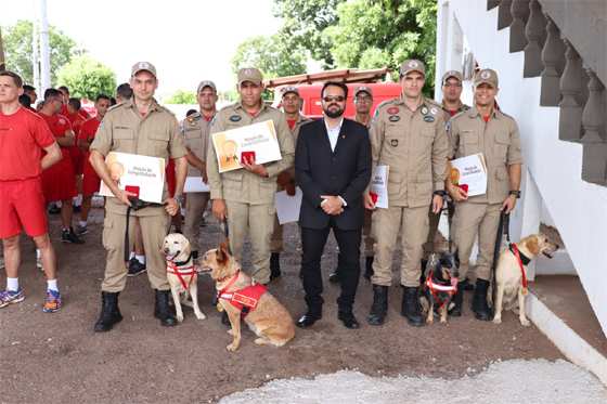 Bombeiros