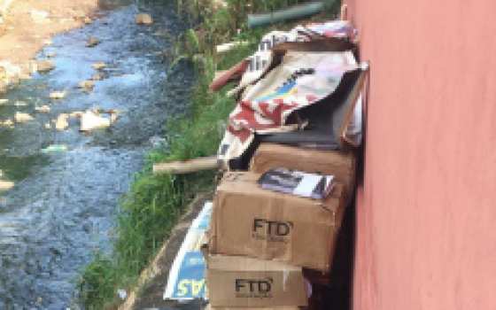 Educação