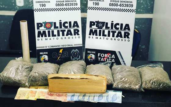 Reprodução