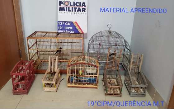 crime ambiental