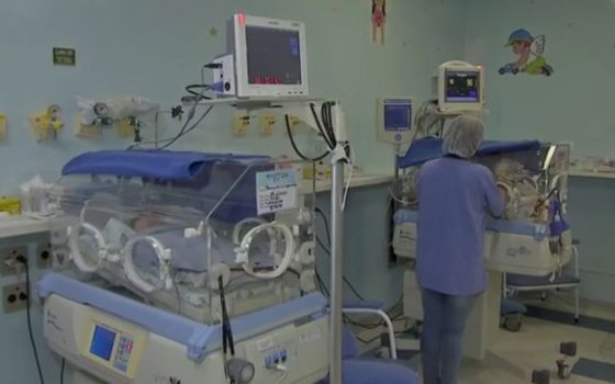 uti neonatal