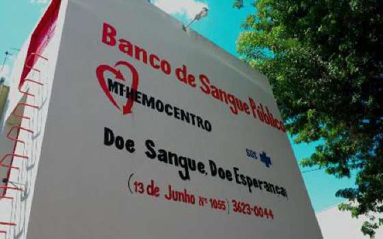 mt hemocentro