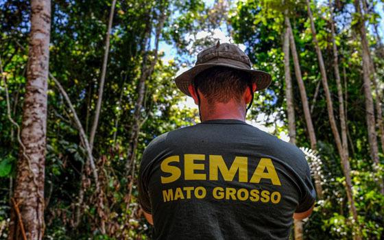 sema