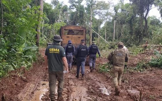 operação sema