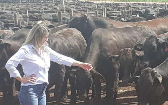 ana calixto pecuaria