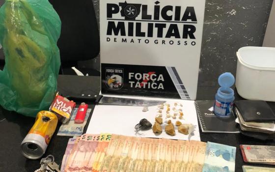drogas apreendidas 