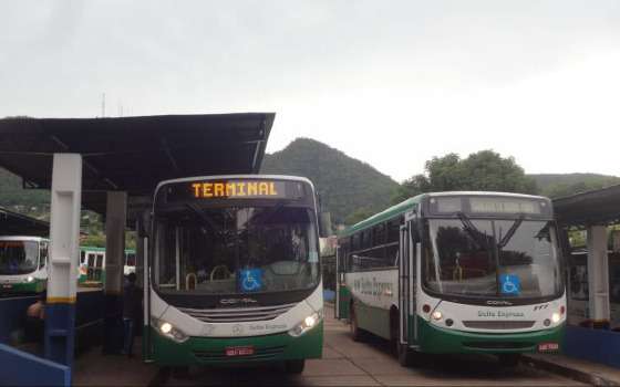 garças tur delta express