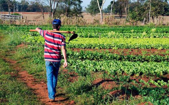 agricultura familiar