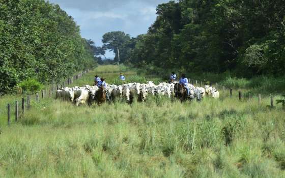 expedição araguaia e xingu agronegócio