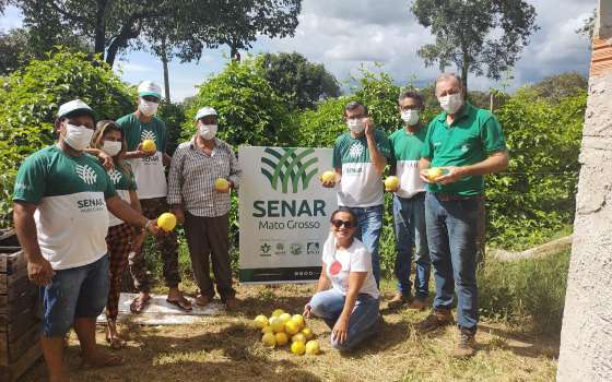 cultivo maracuja em nova nazaré