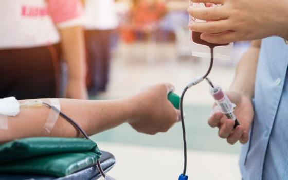 doação de sangue 