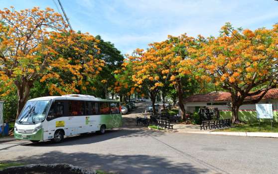 IFMT - Barra do Garças