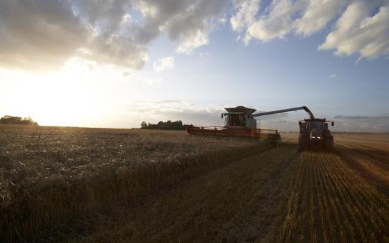 exportação agro