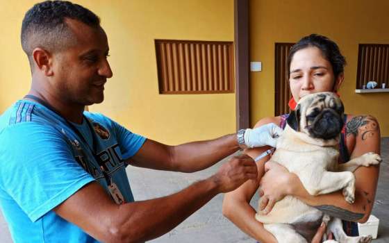 vacinação antirrábica aragarças