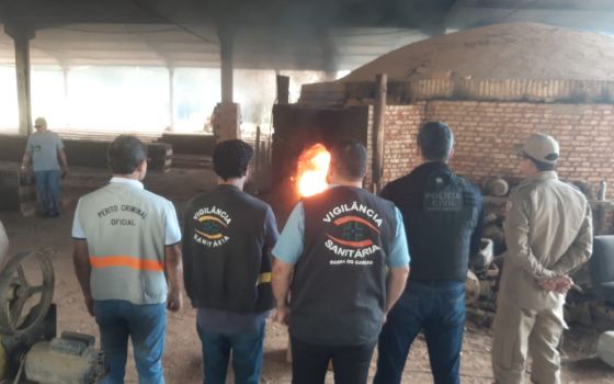 INCINERAÇÃO
