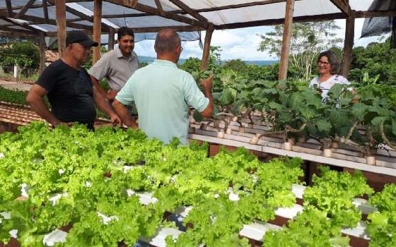 Agricultura Familiar
