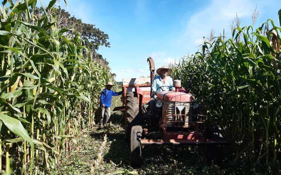 agricultura familiar