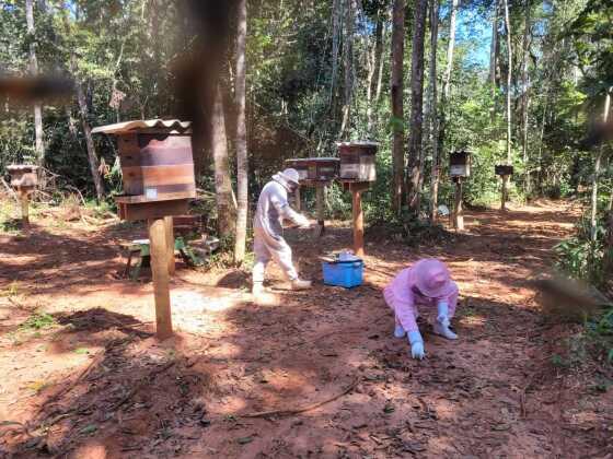 Amostras biológicas foram enviadas para São Paulo. Resultado deve sair em dez dias
