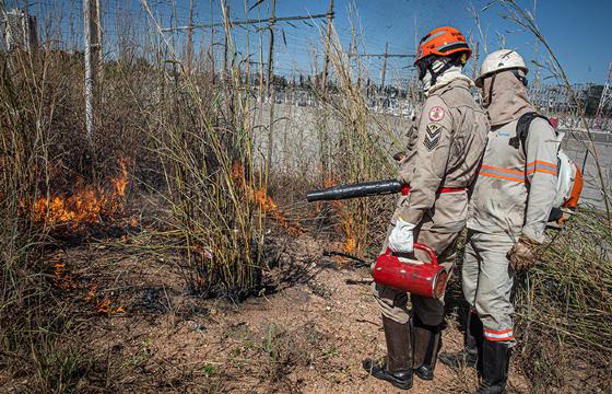 Bombeiros, queimadas