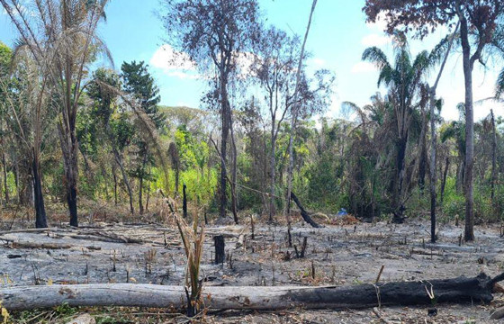Dano ambiental