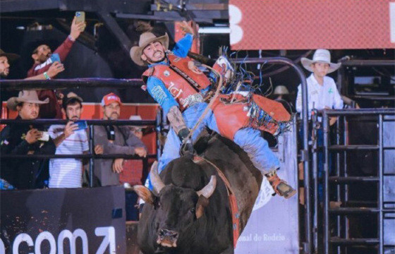 Mario negrine 