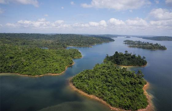 AMAZONIA 