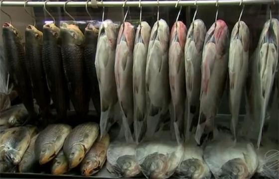 pescado