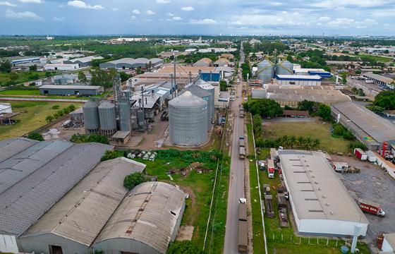 AGRICULTURA
