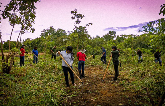 projeto agrofloresta - xavante