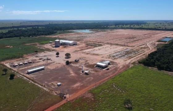 Confinamento JBS 