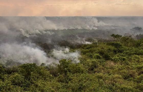 queimadas pantanal