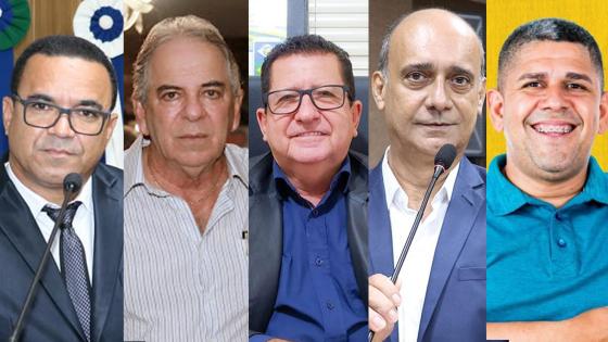 Vereadores de Barra do Garças, Pesquisa PercentBrasil 