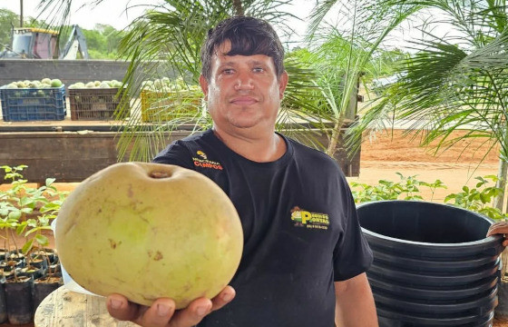 pequi pontal do araguaia - recorde