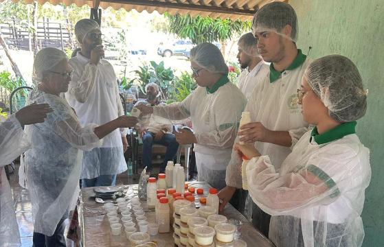Iorgute frutas do cerrado