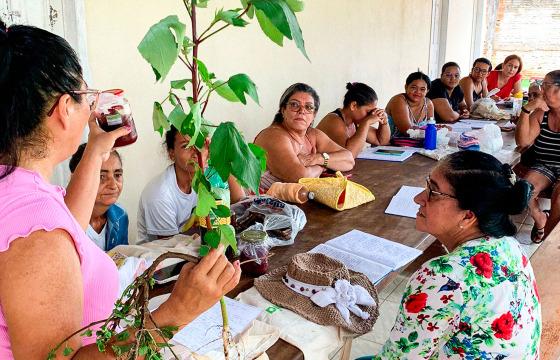 CURSO BIO SECITECI