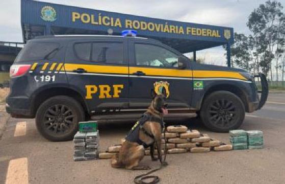 DROGAS APREENDIDAS POR CAO