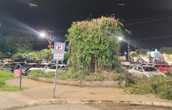 Bambu Baé