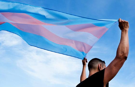 Bandeira trans 