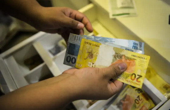 INSS, Brasil