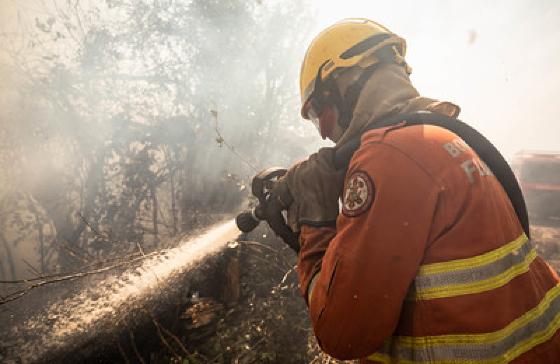 Incêndio Pantanal, MT, MS