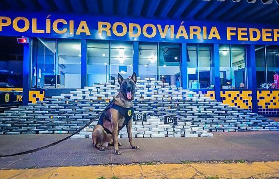 drogas roo