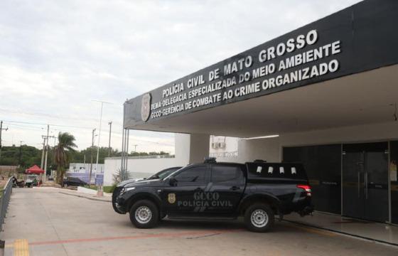 dema e gcco
