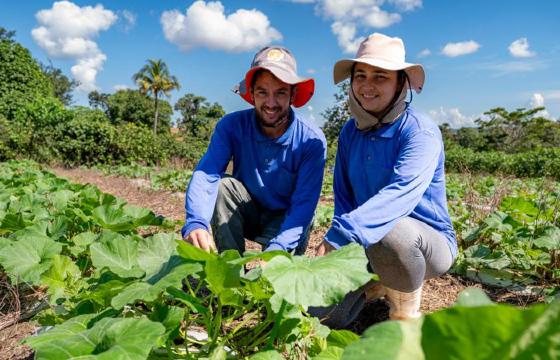 Agricultura familiar 