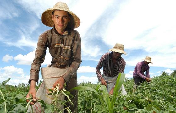 Jovem no campo 