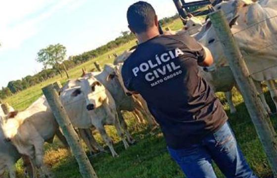 furto de gado