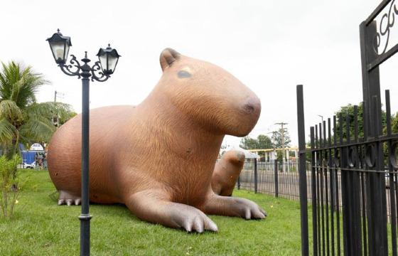 capivara - Virada Sustentável