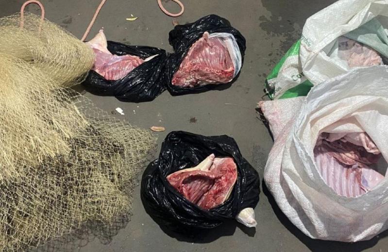 Carne de caça, Novo São Joaquim